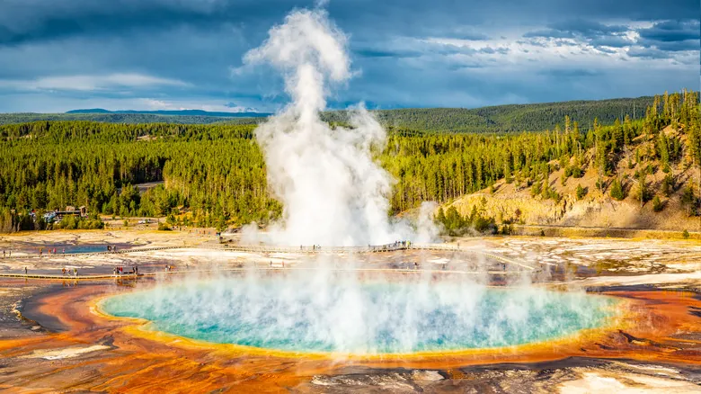 La Asombrosa Resiliencia de la Vida: Descubrimientos en los Ambientes Más Extremos de la Tierra