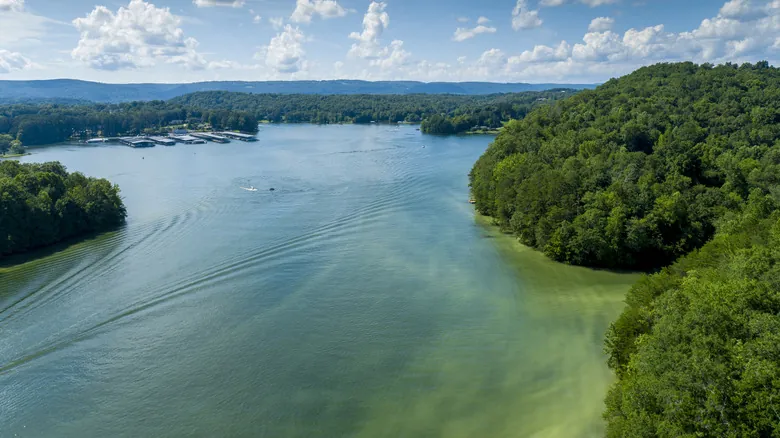 La Belleza Escondida de Tennessee: Guía de Center Hill Lake, Aventura y Naturaleza