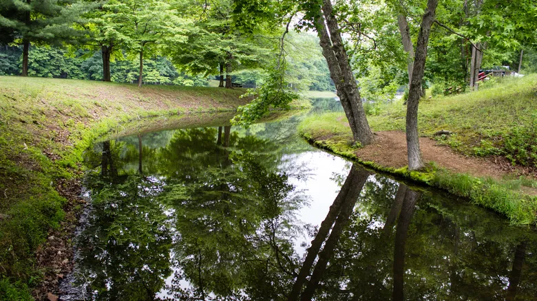 La Extinción del Scioto Madtom: Un Pez Emblemático y la Crisis Silenciosa de la Biodiversidad Acuática