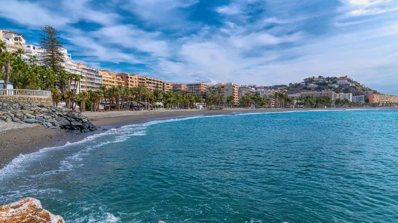 La Herradura, España: El Paraíso Tropical con la Única Plantación de Café de Europa