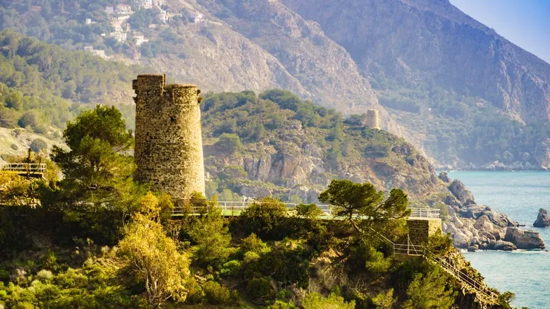 La Herradura, España: El Paraíso Tropical con la Única Plantación de Café de Europa