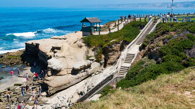 La Jolla: Un Paraíso Costero y Santuario Natural en San Diego