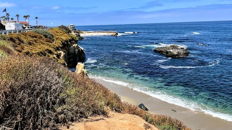 La Jolla: Un Paraíso Costero y Santuario Natural en San Diego