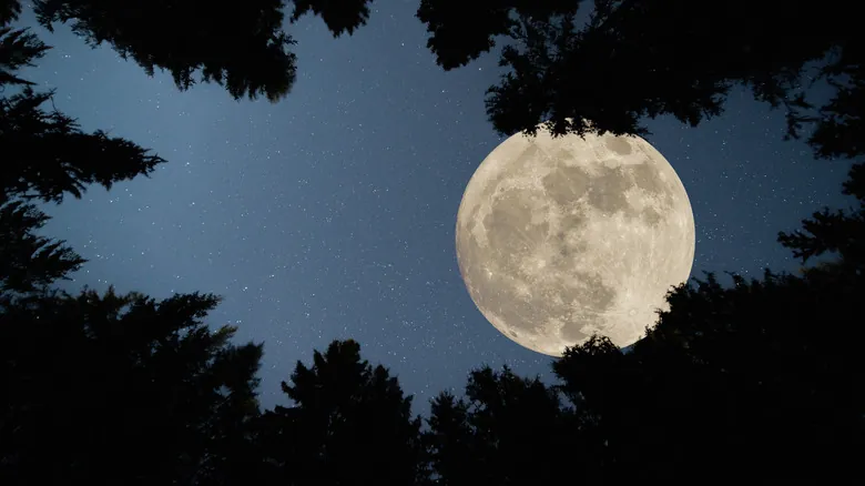 La Luna y sus Fenómenos: Descifrando las Superlunas, Lunas Azules y Más