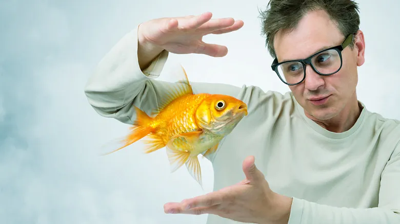La Verdad Sobre la Memoria de los Peces: Desmintiendo el Mito del Pez Dorado
