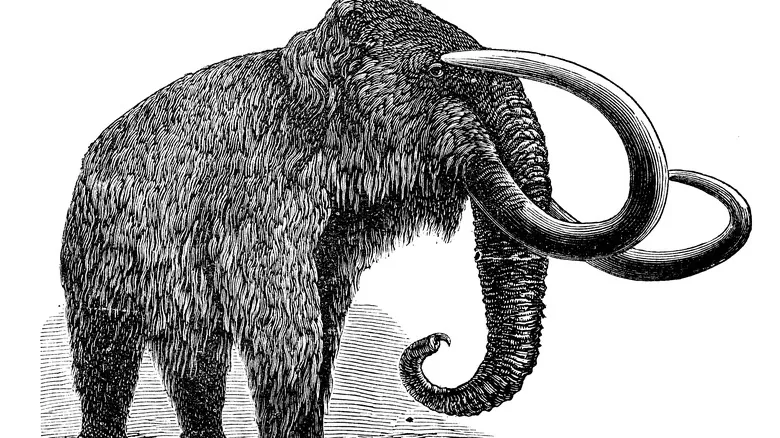 La Vida Humana en la Edad de Hielo: Adaptación, Supervivencia y Evolución Ancestral