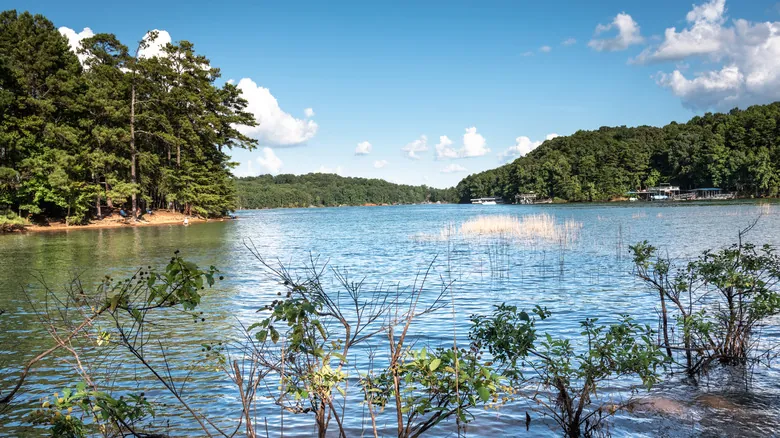 Lago Lanier: La Verdad Detrás de Sus Aguas y Su Sombrío Pasado