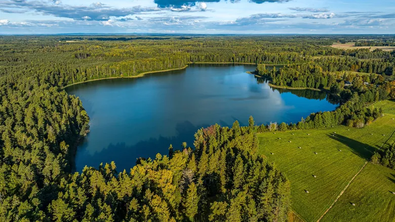 Laguna vs. Lago: Desvelando las Diferencias Clave en Cuerpos de Agua Dulce