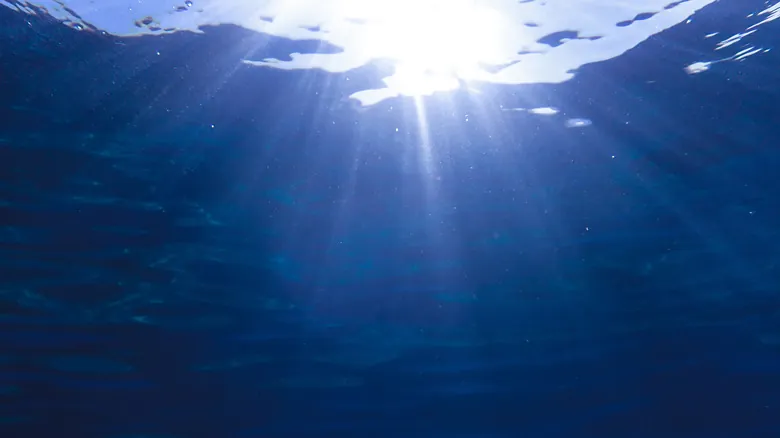 Laguna vs. Lago: Desvelando las Diferencias Clave en Cuerpos de Agua Dulce