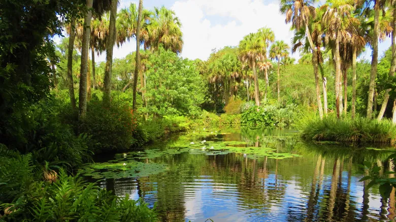 Lake Wales, Florida: Un Tesoro Escondido de Naturaleza y Aventura en el Corazón de Florida