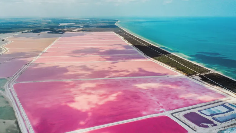 Las Coloradas, Yucatán: El Asombroso Paraíso Rosado y su Secreto Eterno