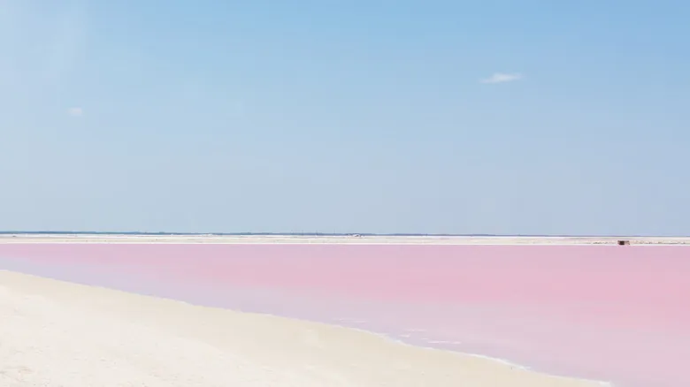 Las Coloradas, Yucatán: El Asombroso Paraíso Rosado y su Secreto Eterno