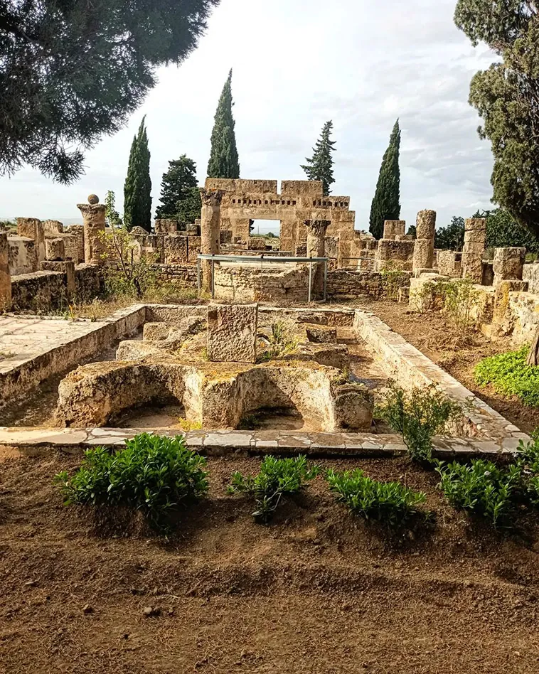 Las Imponentes Ruinas Romanas de Túnez: Un Viaje Inolvidable al Pasado