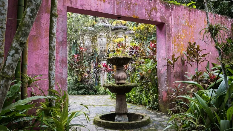 Las Pozas de Edward James: El Jardín Surrealista Oculto en la Selva de México