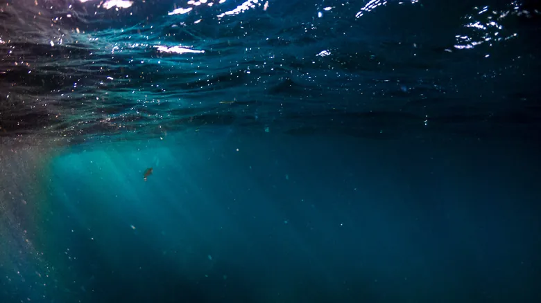 Los Secretos de los Gigantes de Hielo: Océanos Profundos y Campos Magnéticos de Urano y Neptuno