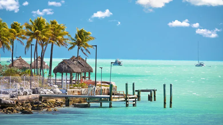 Marathon, Florida Keys: Guía Completa para una Aventura Inolvidable de Snorkel y Naturaleza