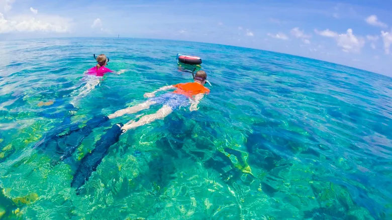 Marathon, Florida Keys: Guía Completa para una Aventura Inolvidable de Snorkel y Naturaleza