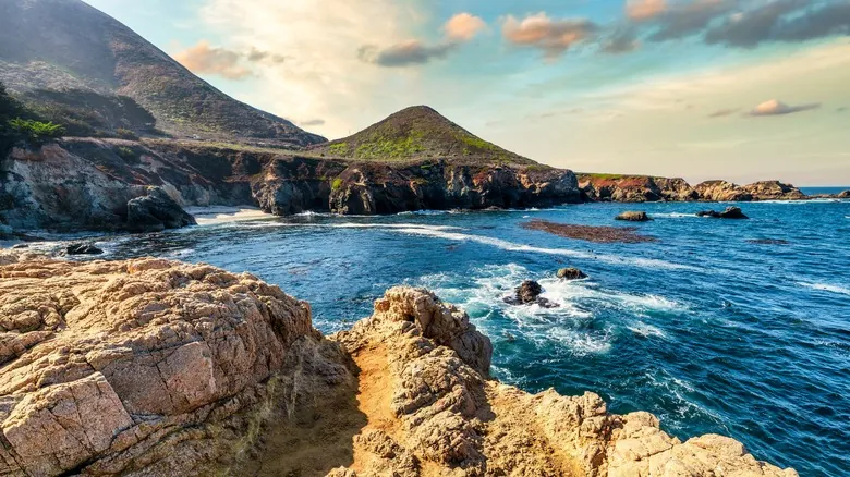 Mejillones Dorados: La Invasión Acuática que Amenaza Ecosistemas y Economía en California