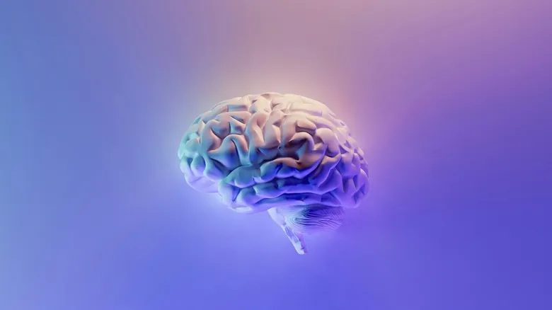 Memoria Celular: La Asombrosa Capacidad de Recordar Más Allá del Cerebro