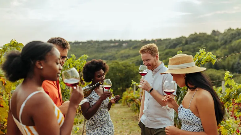 Napa Valley y Sonoma: Un Viaje Imprescindible por los Viñedos de California