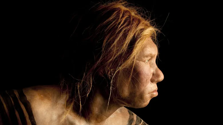 Neandertales Hoy: Un Vistazo Profundo a un Mundo con Múltiples Especies Humanas