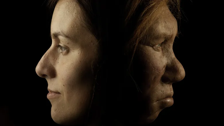 Neandertales Hoy: Un Vistazo Profundo a un Mundo con Múltiples Especies Humanas