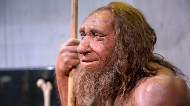 Neandertales: Revelando la Verdad de una Inteligencia Humana Sorprendente