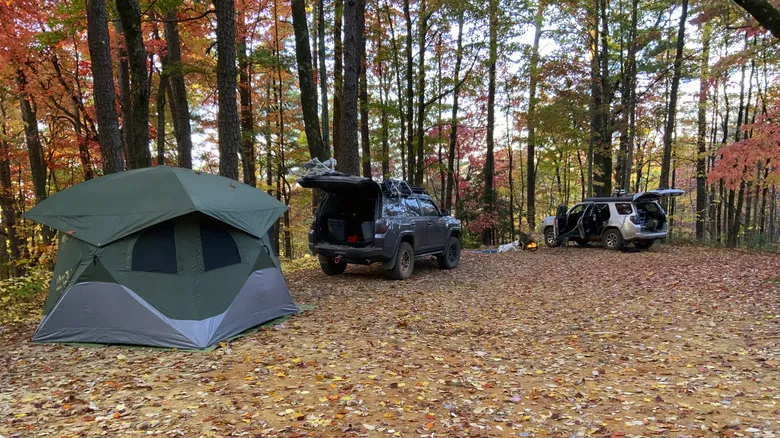 Neches Bluff Overlook: Camping Gratuito y Desconexión Natural en Texas