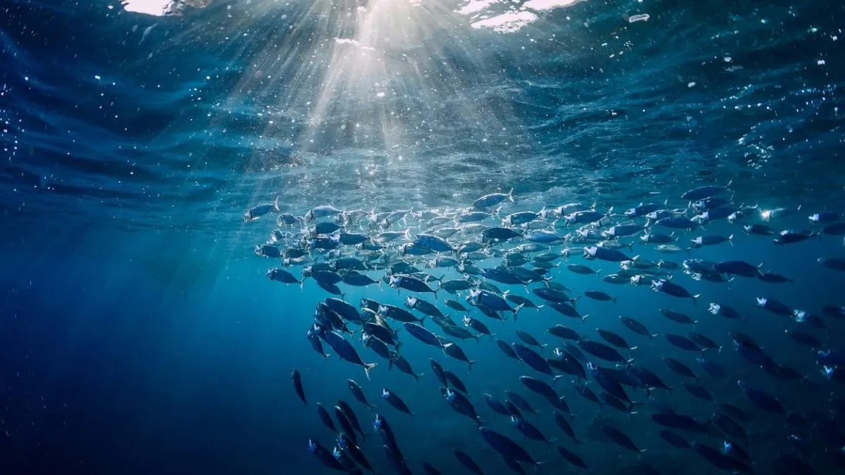 Nuevo depredador aterrador descubierto profundidades oceano