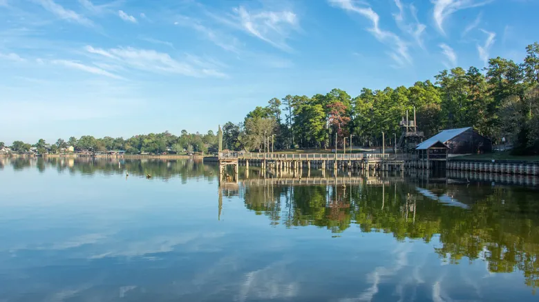Parque Estatal Lago Livingston: Tu Guía Definitiva para Aventura y Naturaleza en Texas