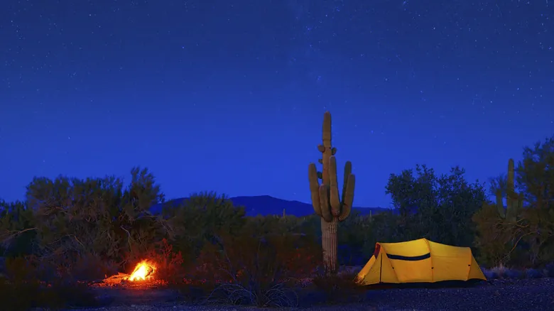 Parque Estatal Lost Dutchman: La Aventura Secreta de Arizona – Senderismo, Camping y Leyendas en las Montañas Superstition