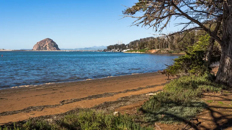 Parque Estatal Morro Bay: La Experiencia Definitiva para Acampar en California