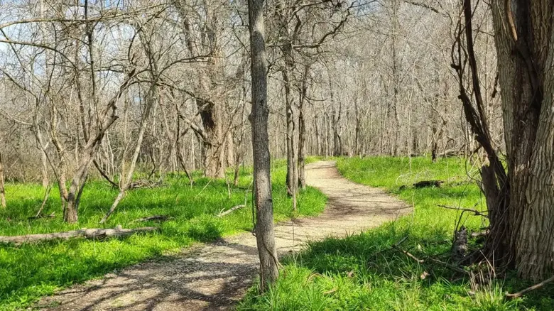 Parque Estatal Stephen F. Austin: Tu Refugio Natural para Senderismo y Campismo en Texas