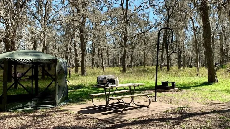 Parque Estatal Stephen F. Austin: Tu Refugio Natural para Senderismo y Campismo en Texas