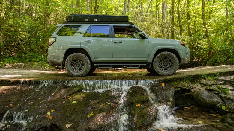 Parque Nacional Great Smoky Mountains: Guía Esencial para Explorar la Naturaleza Apalache