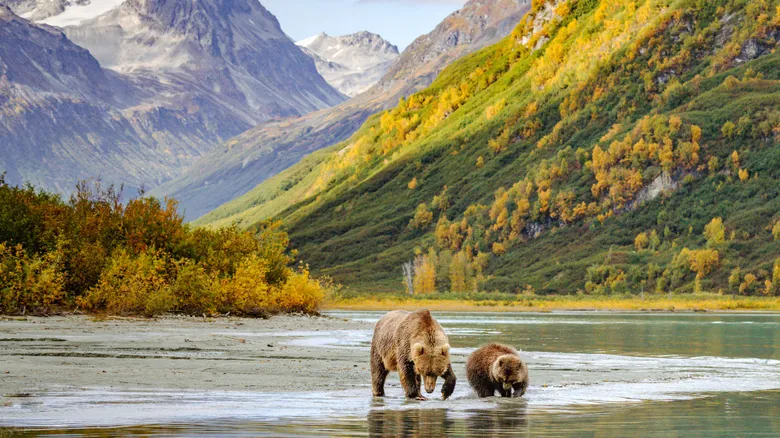 Parque Nacional Lago Clark: Explorando la Indómita Belleza Salvaje de Alaska