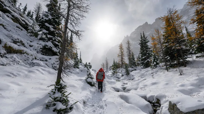 Parque Nacional Yoho: La Joya Escondida de las Rocosas Canadienses y Tu Escape Ideal