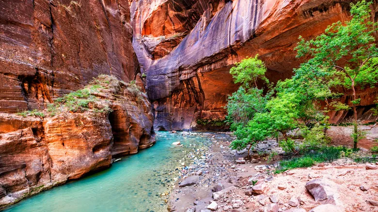 Parque Nacional Zion: Tesoros Escondidos y la Serenidad de la Cascada Pine Creek