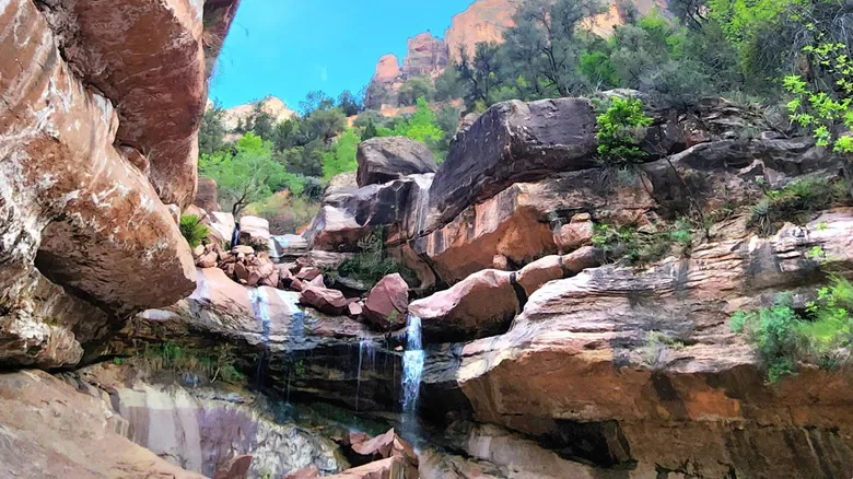Parque Nacional Zion: Tesoros Escondidos y la Serenidad de la Cascada Pine Creek