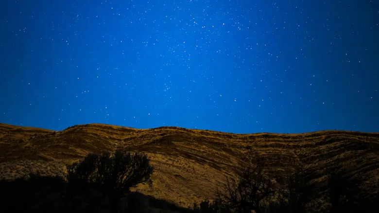 Parques Estatales de Oregón: Descubre Joyas Ocultas para Escapar de las Multitudes