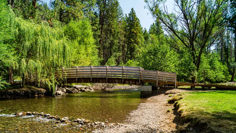 Parques Estatales de Oregón: Descubre Joyas Ocultas para Escapar de las Multitudes