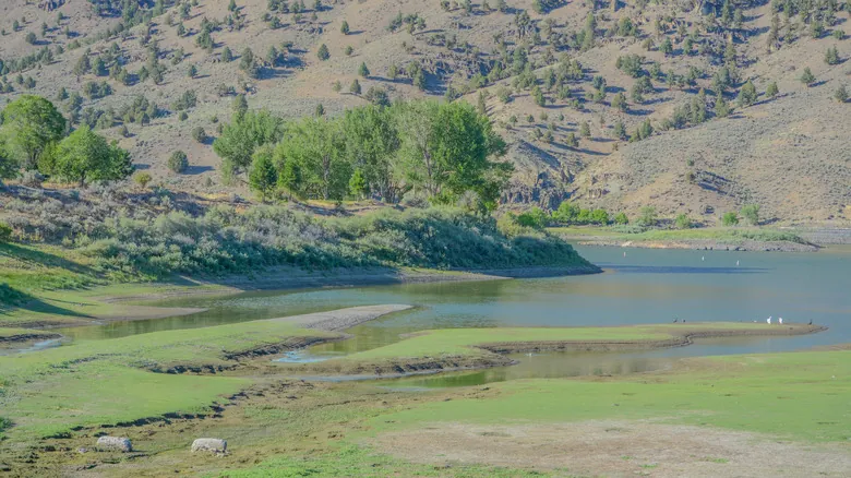 Parques Estatales de Oregón: Descubre Joyas Ocultas para Escapar de las Multitudes
