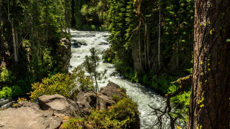 Parques Estatales de Oregón: Descubre Joyas Ocultas para Escapar de las Multitudes