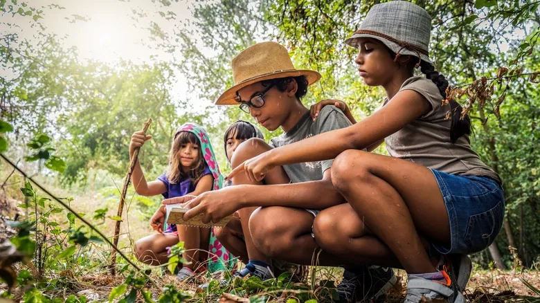 Parques Nacionales: Guardianes de la Naturaleza y los Programas Junior Ranger para Futuros Conservacionistas