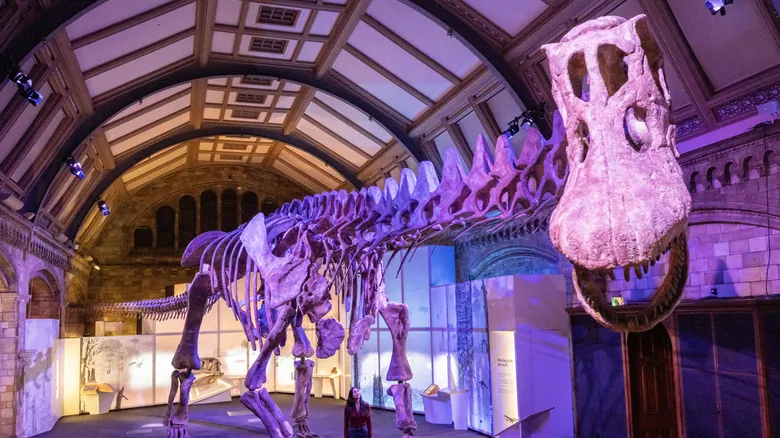Patagotitan Mayorum: El Gigante Terrestre que Reinó en la Prehistoria