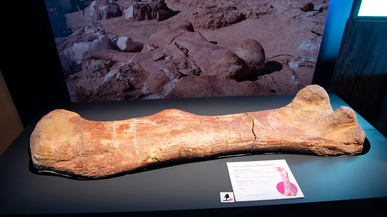 Patagotitan Mayorum: El Gigante Terrestre que Reinó en la Prehistoria