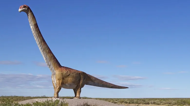 Patagotitan Mayorum: El Gigante Terrestre que Reinó en la Prehistoria
