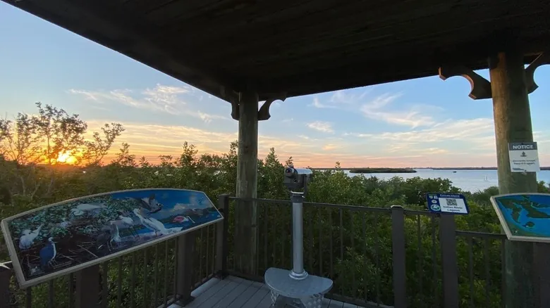 Pelican Island: Cuna de la Conservación y Santuario de Biodiversidad en Florida