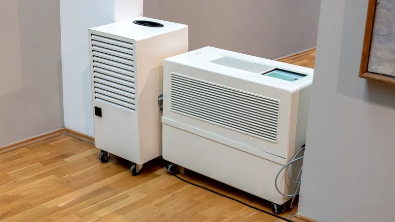 Purificador de Aire vs. Deshumidificador: Guía Esencial para Mejorar la Calidad del Aire Interior