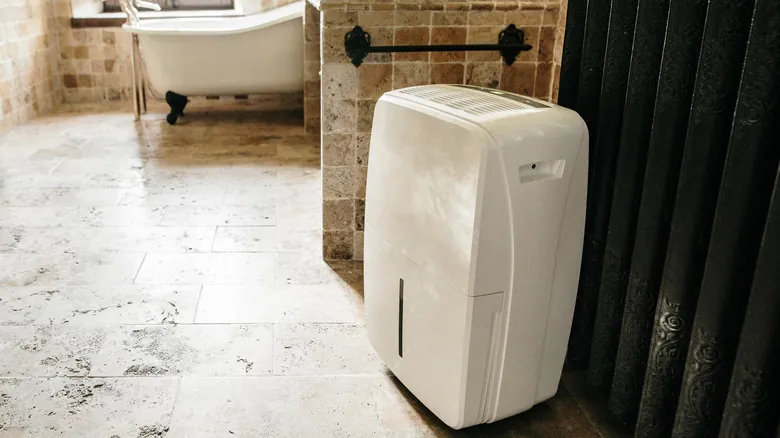 Purificador de Aire vs. Deshumidificador: Guía Esencial para Mejorar la Calidad del Aire Interior